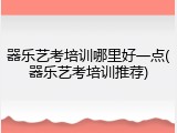 器乐艺考培训哪里好一点(器乐艺考培训推荐)