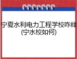 宁夏水利电力工程学校咋样(宁水校如何)