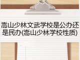 嵩山少林文武学校是公办还是民办(嵩山少林学校性质)
