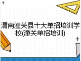 渭南潼关县十大单招培训学校(潼关单招培训)