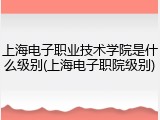 上海电子职业技术学院是什么级别(上海电子职院级别)