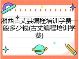 湘西古丈县编程培训学费一般多少钱(古丈编程培训学费)