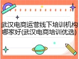 武汉电商运营线下培训机构哪家好(武汉电商培训优选)