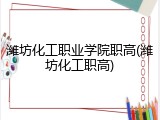 潍坊化工职业学院职高(潍坊化工职高)