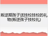 叛逆期孩子送技校技校的礼物(叛逆孩子技校礼)