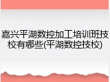 嘉兴平湖数控加工培训班技校有哪些(平湖数控技校)