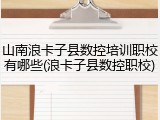 山南浪卡子县数控培训职校有哪些(浪卡子县数控职校)