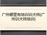 广州哪里有培训训犬师(广州训犬师培训)