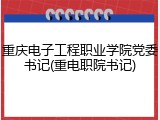 重庆电子工程职业学院党委书记(重电职院书记)