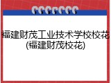 福建财茂工业技术学校校花(福建财茂校花)