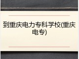 到重庆电力专科学校(重庆电专)
