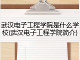 武汉电子工程学院是什么学校(武汉电子工程学院简介)