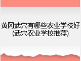 黄冈武穴有哪些农业学校好(武穴农业学校推荐)