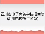 四川省电子商务学校招生简章(川电校招生简章)
