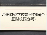 合肥财经学校是民办吗(合肥财校民办吗)