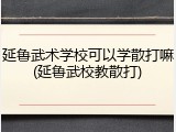 延鲁武术学校可以学散打嘛(延鲁武校教散打)