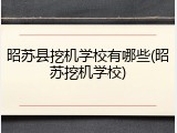 昭苏县挖机学校有哪些(昭苏挖机学校)