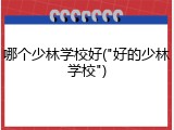 哪个少林学校好("好的少林学校")