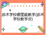 武术学校哪里能教学(武术学校教学点)