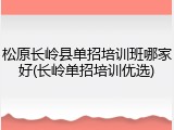 松原长岭县单招培训班哪家好(长岭单招培训优选)