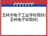 玉林市电子工业学校现状(玉林电子校现状)