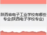 陕西省电子工业学校有哪些专业(陕西电子学校专业)