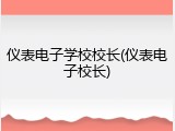 仪表电子学校校长(仪表电子校长)