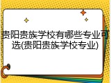 贵阳贵族学校有哪些专业可选(贵阳贵族学校专业)