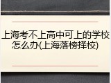 上海考不上高中可上的学校怎么办(上海落榜择校)