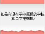 和县有没有学挖掘机的学校(和县学挖掘机)