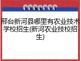 邢台新河县哪里有农业技术学校招生(新河农业技校招生)