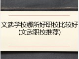 文武学校哪所好职校比较好(文武职校推荐)