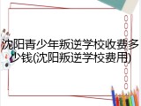 沈阳青少年叛逆学校收费多少钱(沈阳叛逆学校费用)