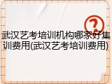 武汉艺考培训机构哪家好集训费用(武汉艺考培训费用)