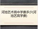 河池艺术高中学费多少(河池艺高学费)