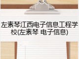 左素琴江西电子信息工程学校(左素琴 电子信息)