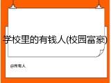 学校里的有钱人(校园富豪)