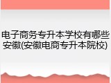 电子商务专升本学校有哪些安徽(安徽电商专升本院校)