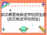 武汉哪里有叛逆学校招生的(武汉叛逆学校招生)
