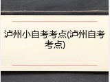 泸州小自考考点(泸州自考考点)