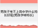 男孩子考不上高中学什么特长好呢(男孩学啥特长)