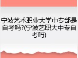 宁波艺术职业大学中专部是自考吗?(宁波艺职大中专自考吗)