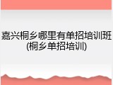 嘉兴桐乡哪里有单招培训班(桐乡单招培训)