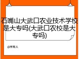 石嘴山大武口农业技术学校是大专吗(大武口农校是大专吗)