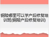 铜陵哪里可以学产后修复培训班(铜陵产后修复培训)