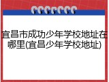 宜昌市成功少年学校地址在哪里(宜昌少年学校地址)