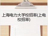 上海电力大学校招率(上电校招率)