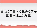 重庆轻工业学校北碚校区专业(北碚轻工校专业)