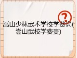 嵩山少林武术学校学费高(嵩山武校学费贵)
