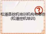 松潘县挖机培训机构有哪些(松潘挖机培训)